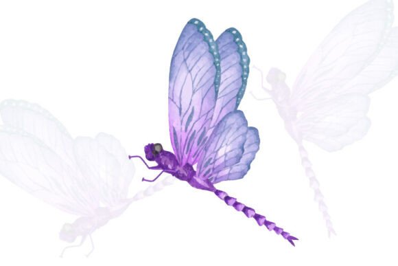 Dragonfly Watercolor Vector Art